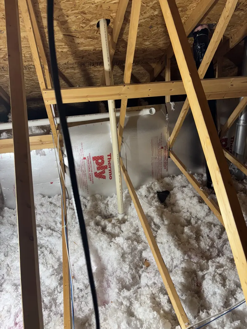 Drain and vent piping routed through open wood framing during residential construction.