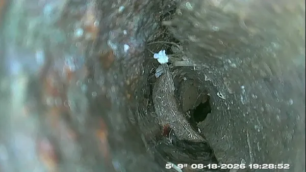 Sewer inspection camera footage of the inside of a drain pipe