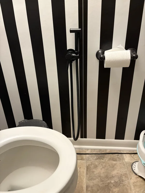 Handheld bidet sprayer and toilet paper holder installed next to a toilet